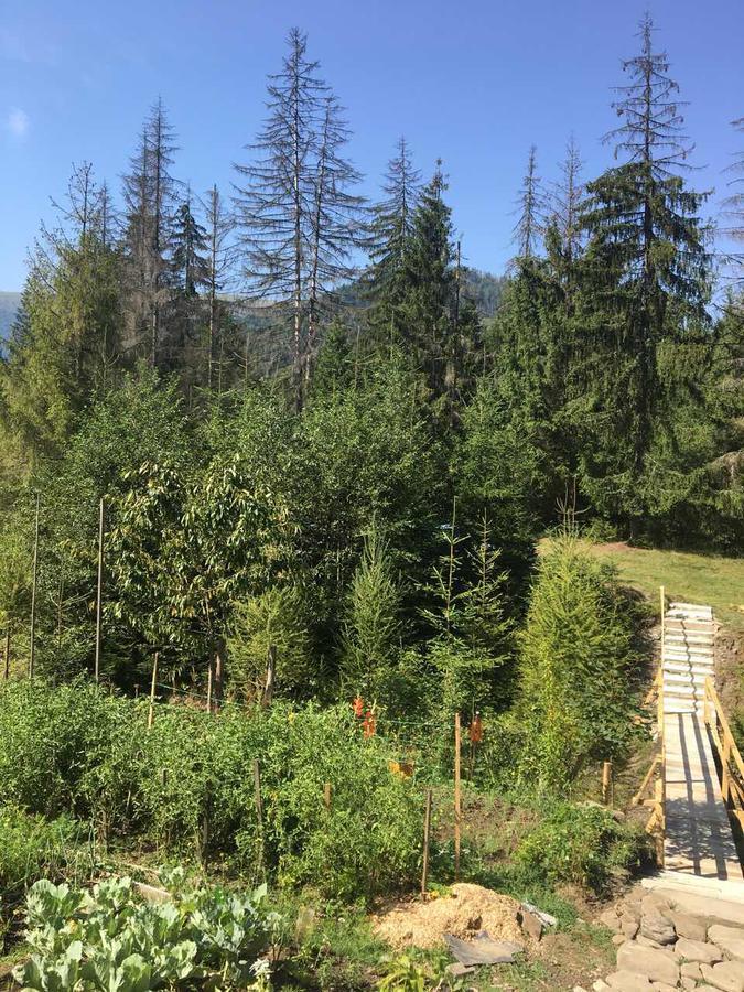 Hotel Wooddream Volovets Esterno foto