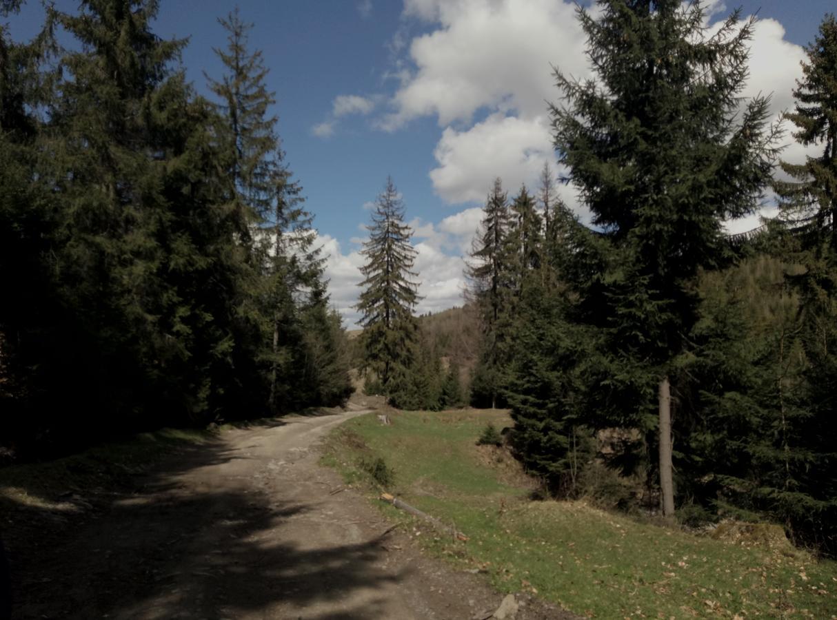 Hotel Wooddream Volovets Esterno foto