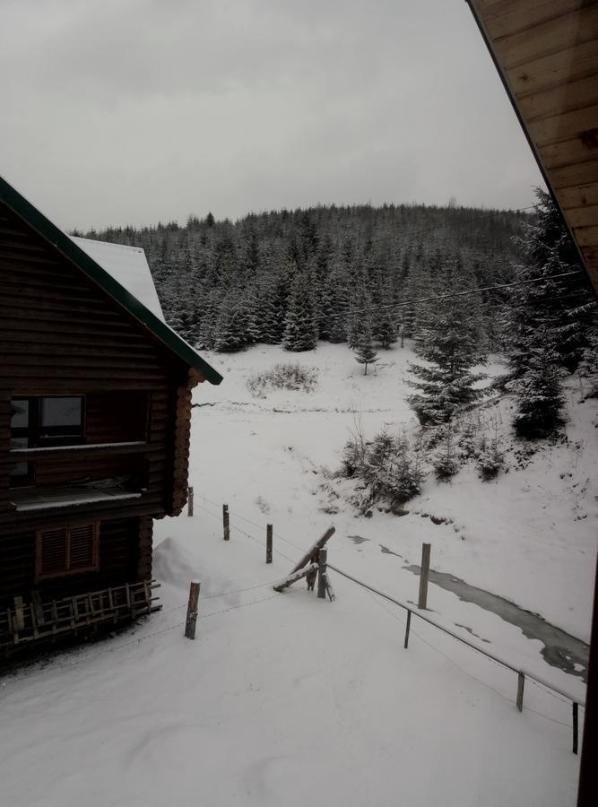 Hotel Wooddream Volovets Esterno foto