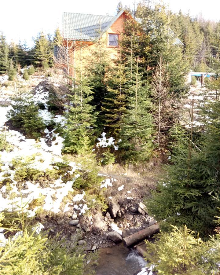 Hotel Wooddream Volovets Esterno foto