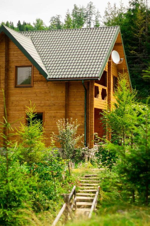 Hotel Wooddream Volovets Esterno foto